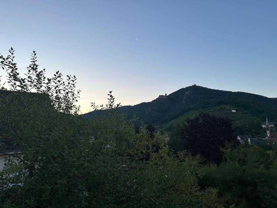 Vue Magnifique Sur Les Chateaux Ribeauvillé Zewnętrze zdjęcie