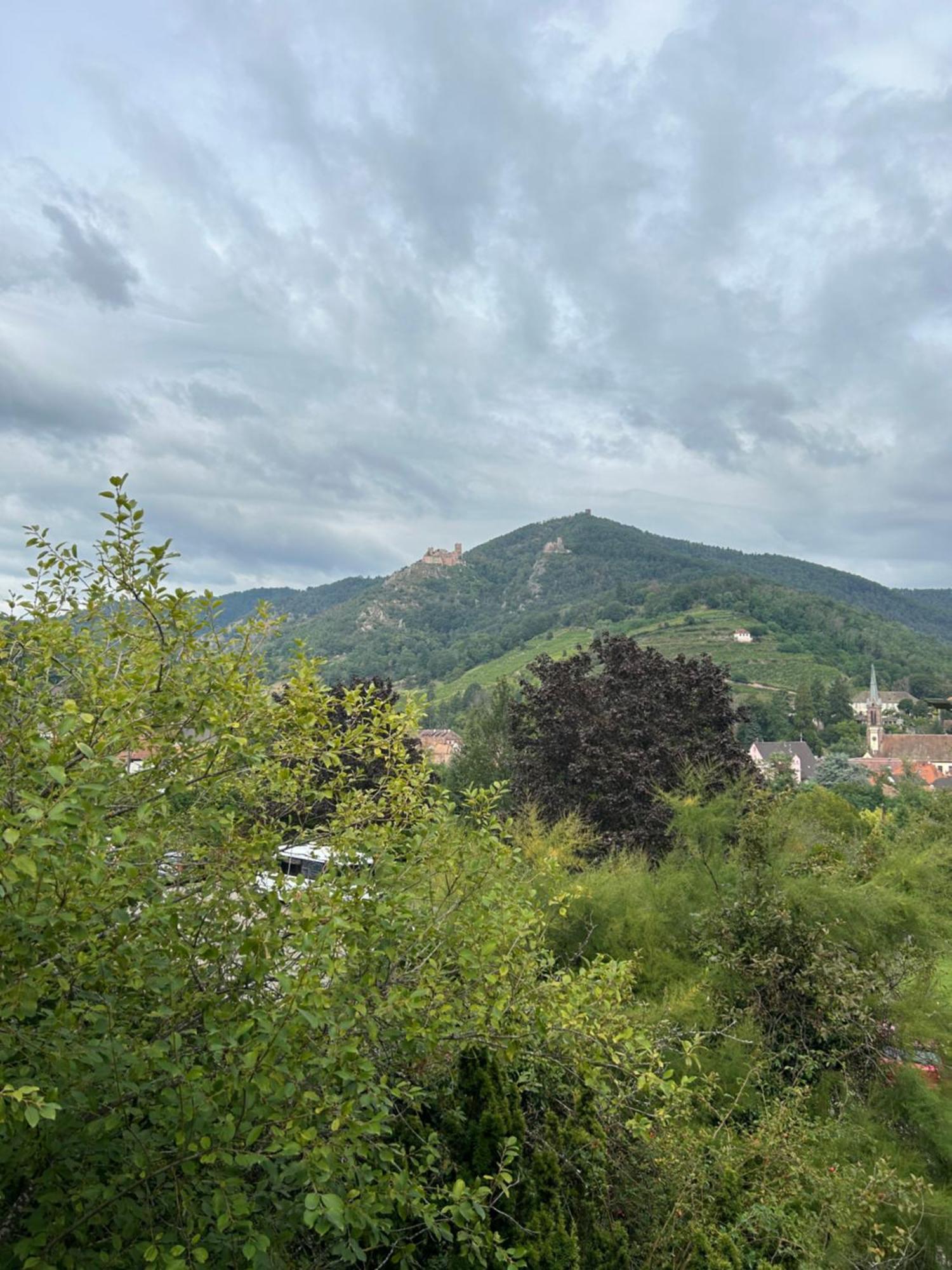 Vue Magnifique Sur Les Chateaux Ribeauvillé Zewnętrze zdjęcie